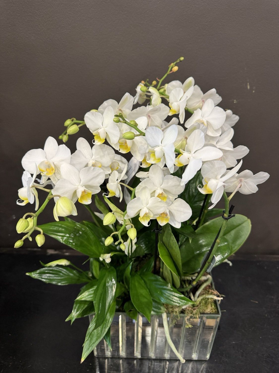 Floral arrangement from our North London studio by Dancing Orchid, North London florist